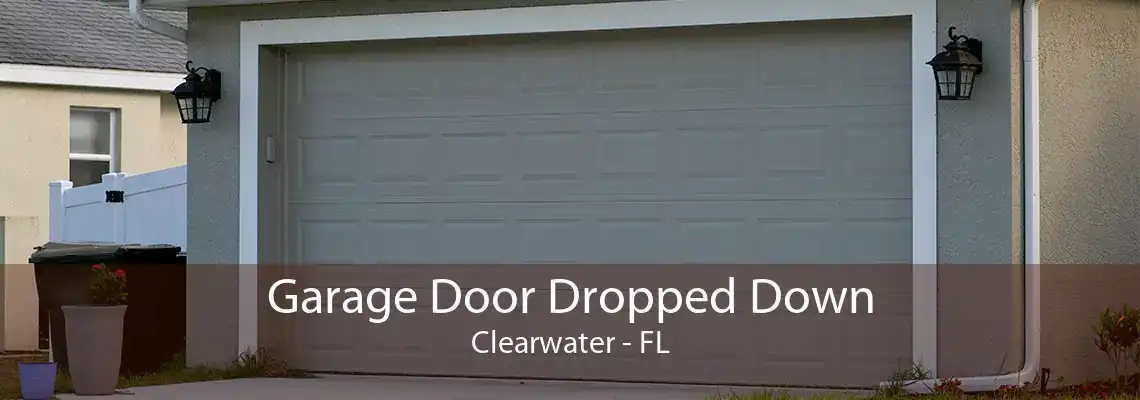 Garage Door Dropped Down Clearwater - FL