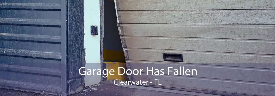 Garage Door Has Fallen Clearwater - FL