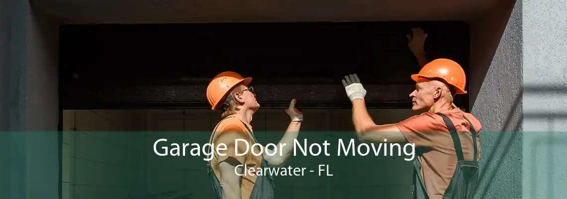 Garage Door Not Moving Clearwater - FL