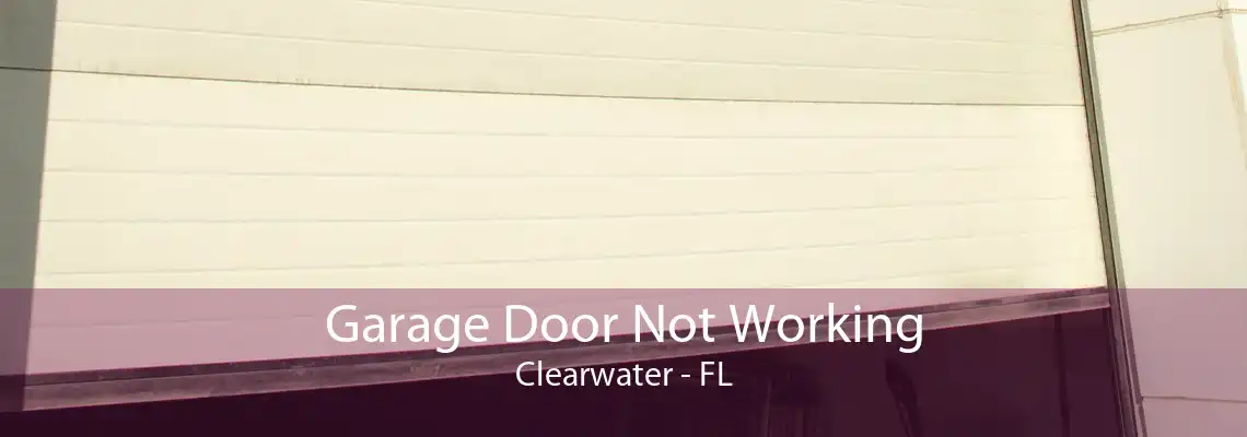 Garage Door Not Working Clearwater - FL