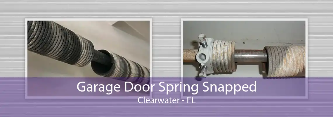 Garage Door Spring Snapped Clearwater - FL