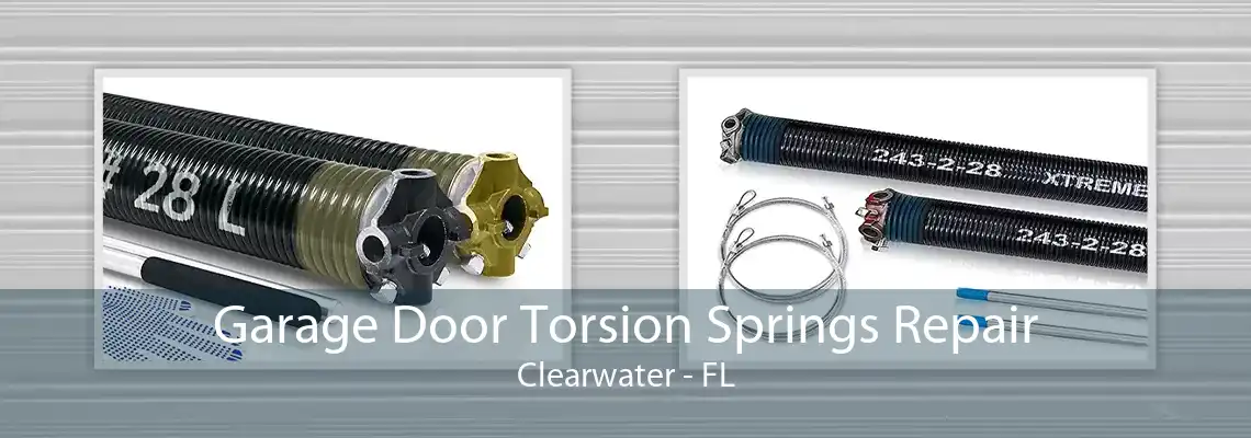 Garage Door Torsion Springs Repair Clearwater - FL