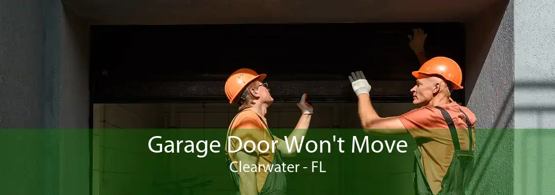 Garage Door Won't Move Clearwater - FL