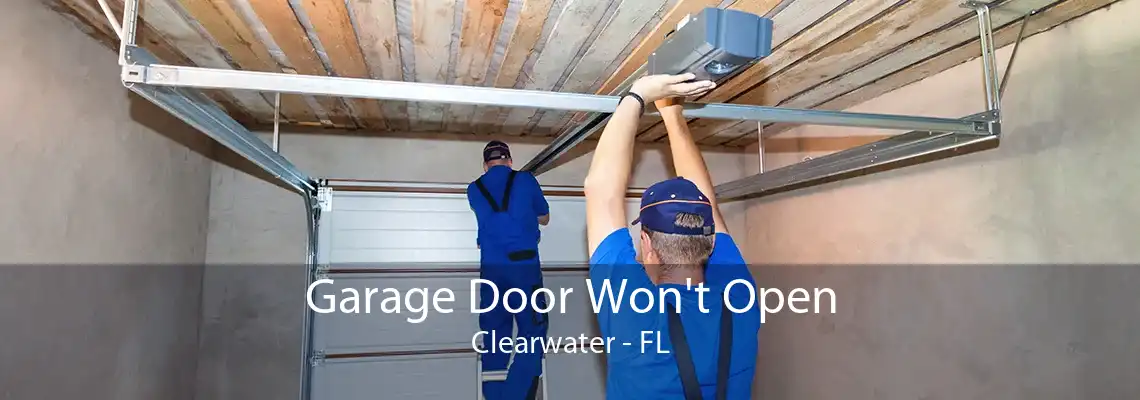 Garage Door Won't Open Clearwater - FL