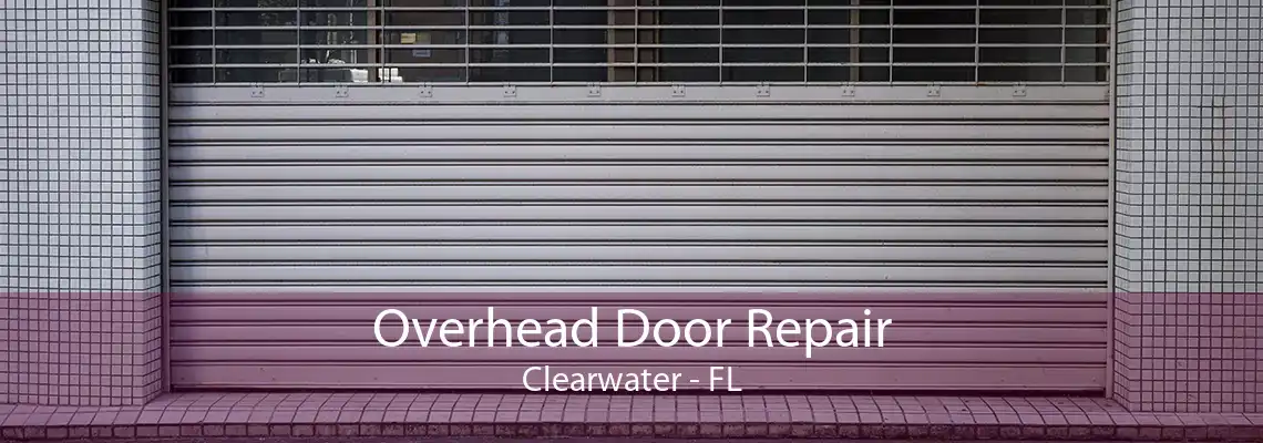 Overhead Door Repair Clearwater - FL